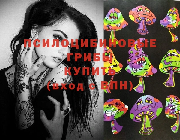 Альфа ПВП Алексеевка