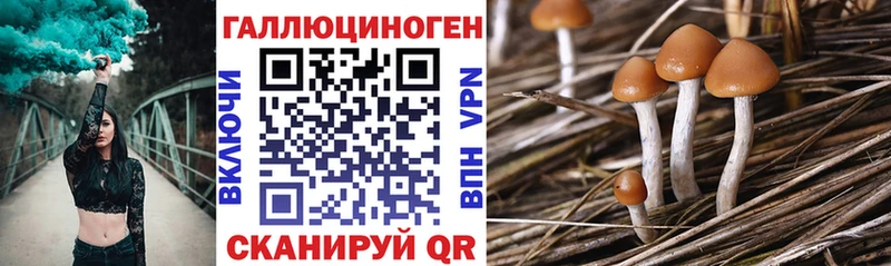 Галлюциногенные грибы мухоморы  Кашин 